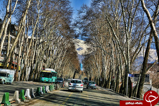 چهار پیشنهاد برای پیاده&zwnj;روی در تهران
