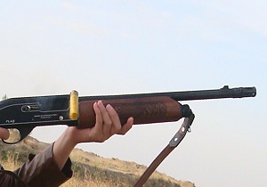 دستگیری عاملان تیر اندازی در هرسین