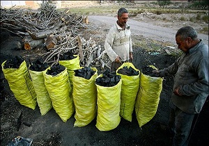 کشف و ضبط بیش از 10 هزار تن زغال در استان اردبیل