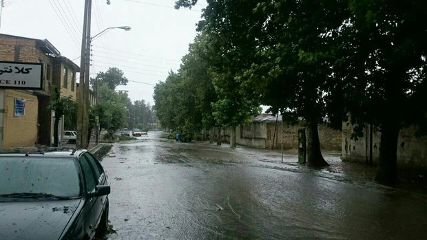 ۲۰ هزار نفر در ایلام تسهیلات ارزان قیمت دریافت کردند