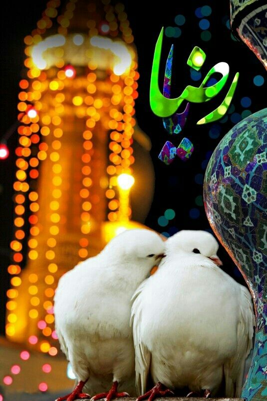 والپیپر و پوستر ولادت امام رضا(ع) 96
