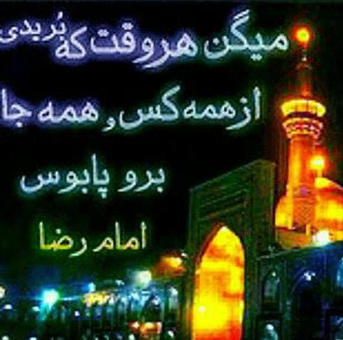 مجموعه تصاویر پروفایل به مناسبت ولادت امام رضا (ع)