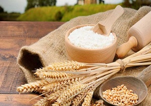 کاهش 50 درصدی سبوس توزیعی در بین دامداران استان اردبیل