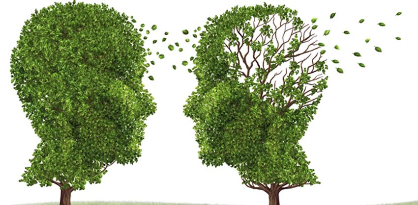 این سبزی باعث زنگ زدن سلول&zwnj;های مغزی می&zwnj;شود