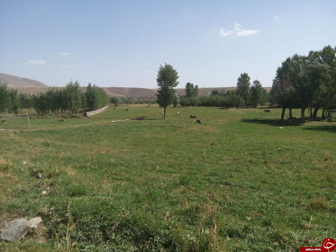 طبیعت بی&zwnj;نظیر زیبا در سهزاب + تصاویر