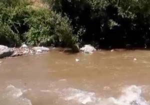 نمایی از رودخانه زیبای کرج + فیلم