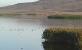جازموریان تشنه وچشم انتظار