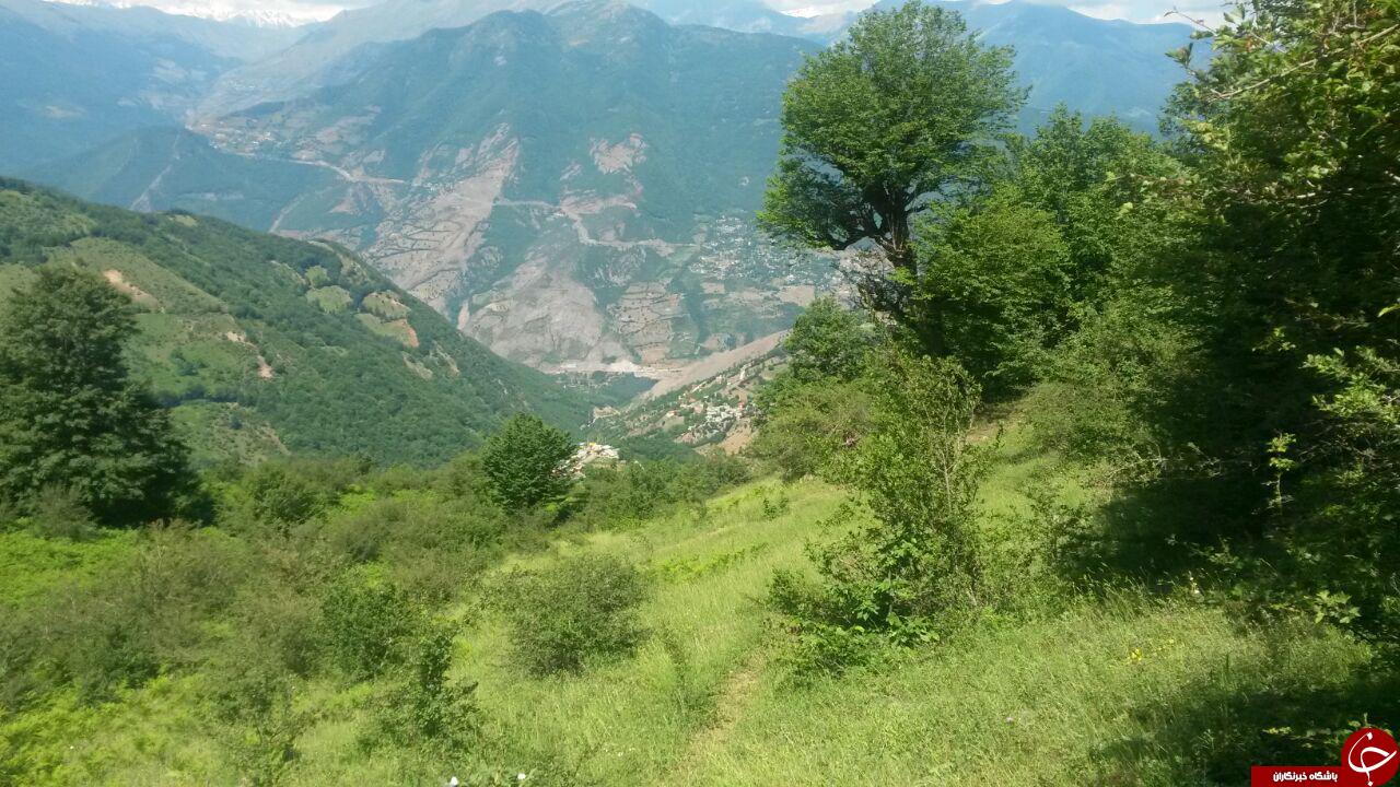 طبیعت دیدنی منطقه چالوس + فیلم
