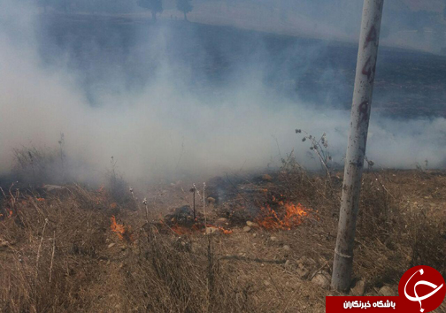 آتش به جان ۵۰ هکتار از زمین های کشاورزی روستای ازنی + تصاویر