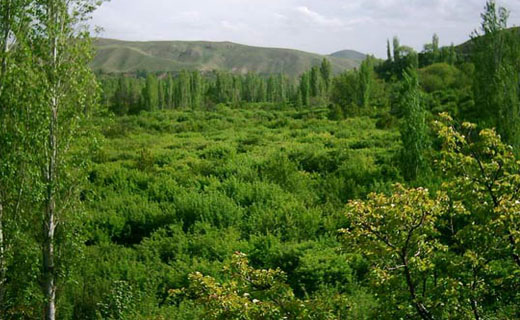 روستای ماسوله ای و از معروف ترین جاذبه های گردشگری + تصاویر