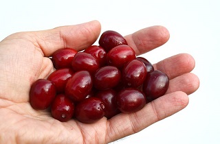 حتما زغال اخته بخورید