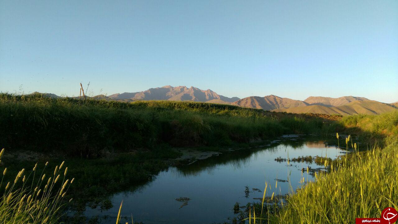 چشم&zwnj;اندازی از طبیعت دیدنی و آرام&zwnj;بخش در عزیزآباد + تصاویر