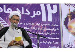 شورای هماهنگی تبلیغات اسلامی در پی نمایش قدرت معنوی نظام