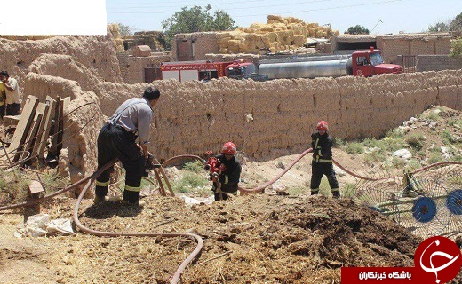 مهار آتش سوزی یک گاوداری در جاده نظامی سمنان + تصویر