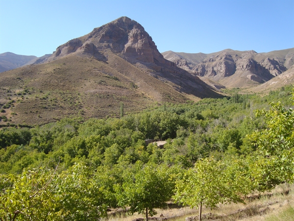 بیدخون روستایی با چتر سرسبز درختان گردو