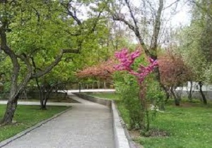 احداث بوستان 15 هزار مترمربعی در پردیسان قم