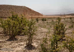 کاهش بارندگی‌ها در اردبیل
