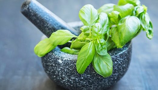 چند ادویه برای حال خوب بانوان