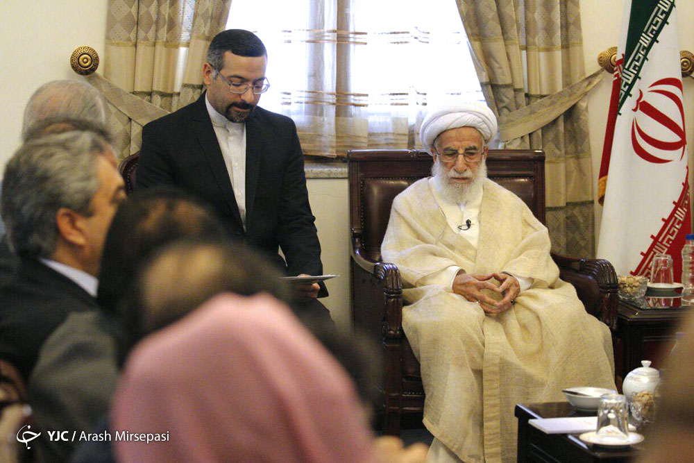 آیت الله جنتی با رئیس مجلس سنای پاکستان دیدار کرد