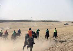 دعوت ۵ سوار کار لرستانی به اردوی انتخابی تیم ملی