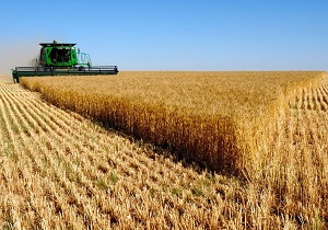 صدور ۶۲ مورد مجوز تغییر کاربری برای اجرای طرحهای کشاورزی در آذربایجان غربی