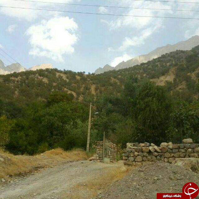 چشم&zwnj;اندازی از طبیعت زیبا در دورک&zwnj;اناری + تصاویر