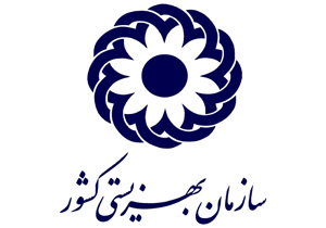 نظارت اثر بخش بر مراکز،مهمترین هدف سازمان بهزیستی