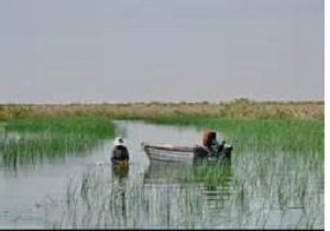 برگزاری کارگروه احیای تالاب هامون در شهرستان نیمروز