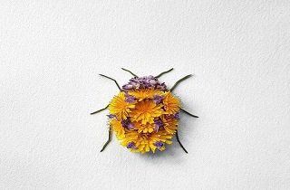 تصاویری از گل هایی که تبدیل به حشره شدند