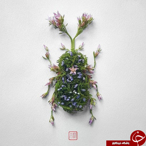 گل هایی که تبدیل به حشره شدند