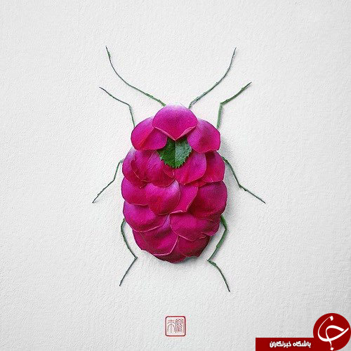 گل هایی که تبدیل به حشره شدند