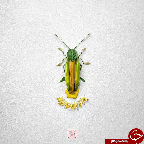 گل هایی که تبدیل به حشره شدند