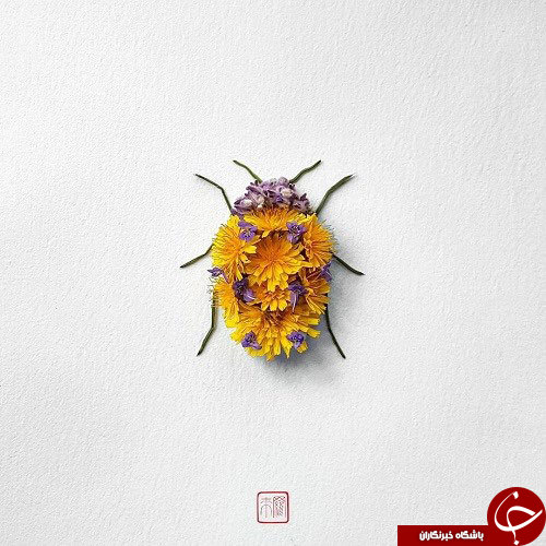 گل هایی که تبدیل به حشره شدند