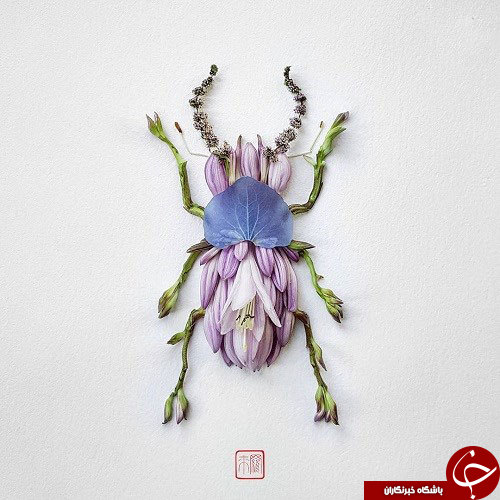 گل هایی که تبدیل به حشره شدند
