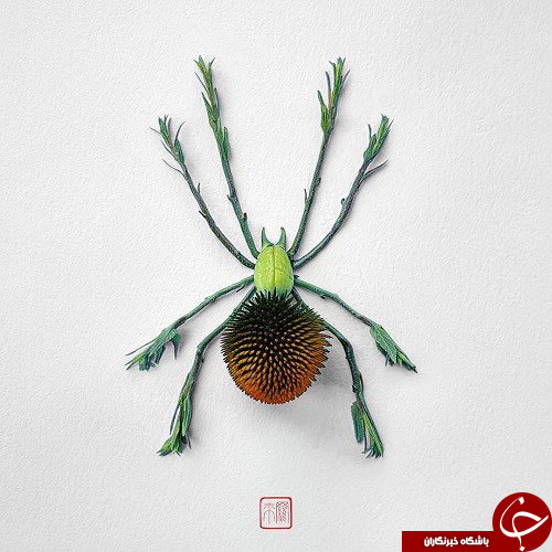 گل هایی که تبدیل به حشره شدند