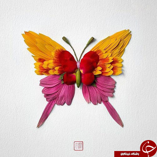 گل هایی که تبدیل به حشره شدند