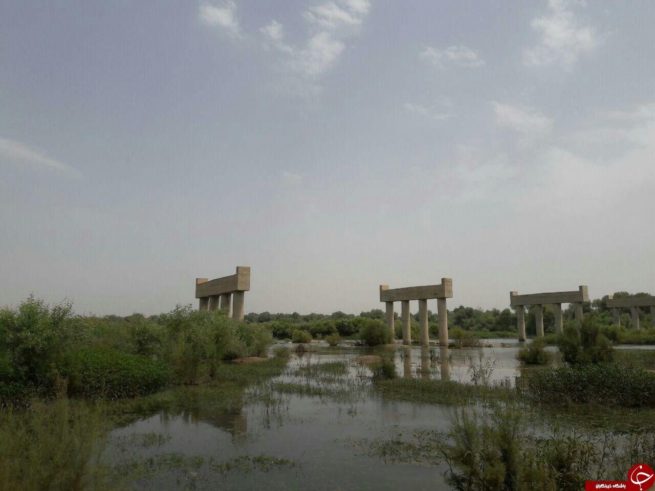 پروژه ای که به خواب ۱۶ ساله رفت + تصاویر