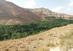 آتش&zwnj;سوزی در ساختمان وزارت نفت/لحظه برخورد شدید پراید با موتورسیکلت/آتش گرفتن هولناک پیکان وانت در اتوبان نواب + فیلم و تصاویر