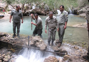 رهایی درختان کهنسال آبشار مارگون از نابودی