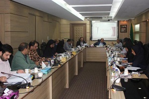 دومین نشست شورای راهبردی ویژه جام جهانی روسیه برگزار شد
