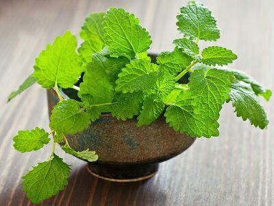 این سبزی&zwnj;های پرخاصیت باعث سلامت مغزتان می&zwnj;شوند