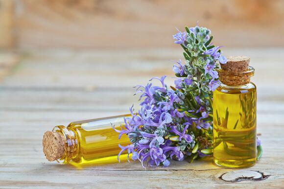 این سبزی&zwnj;های پرخاصیت باعث سلامت مغزتان می&zwnj;شوند