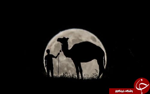 تصاویر روز: از مجسمه 3 متری شان هنری تا جشنواره پیروان آیین بودا