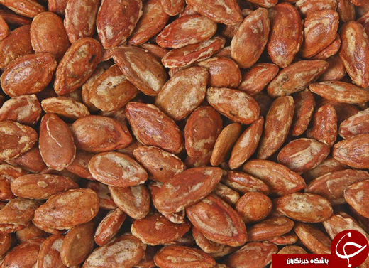فلسفه نام تخمه &laquo;ژاپنی&raquo; چیست؟ +عکس