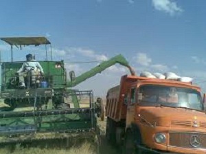 مرگ کشاورز اراکی در مزرعه