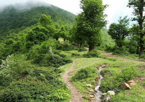 طبیعت زیبا و بکر روستای «اشیر» + تصاویر