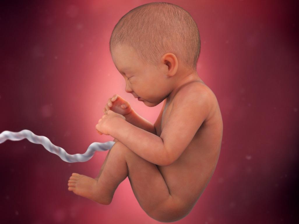 بهترین روش تشخیص بارداری