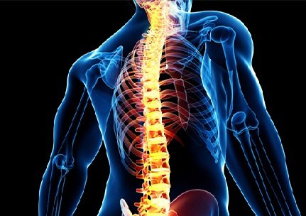 ابتلا به آرتروز  در خبرنگاران روبه افزایش است