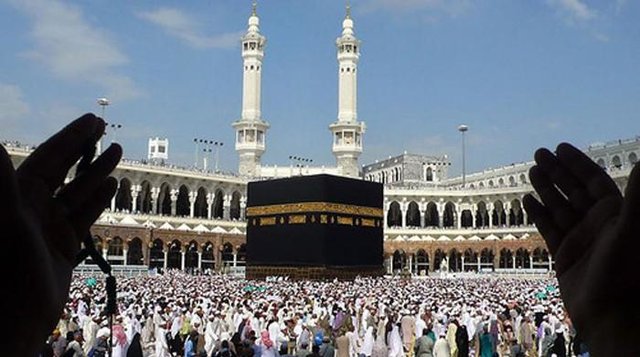 حج امسال نشان از مدیریت بالا و کارآمد خدمتگزاران حجاج کشورمان است