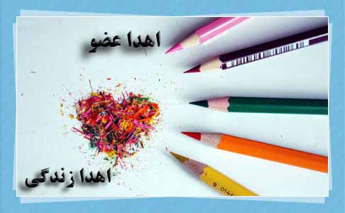 کودک یک ساله جان کودک دیگر را نجات داد